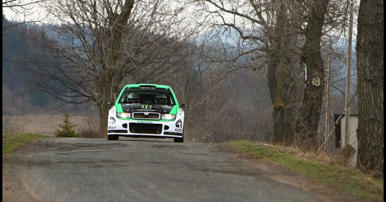 Testy Fiesta Trophy i Fabii WRC
